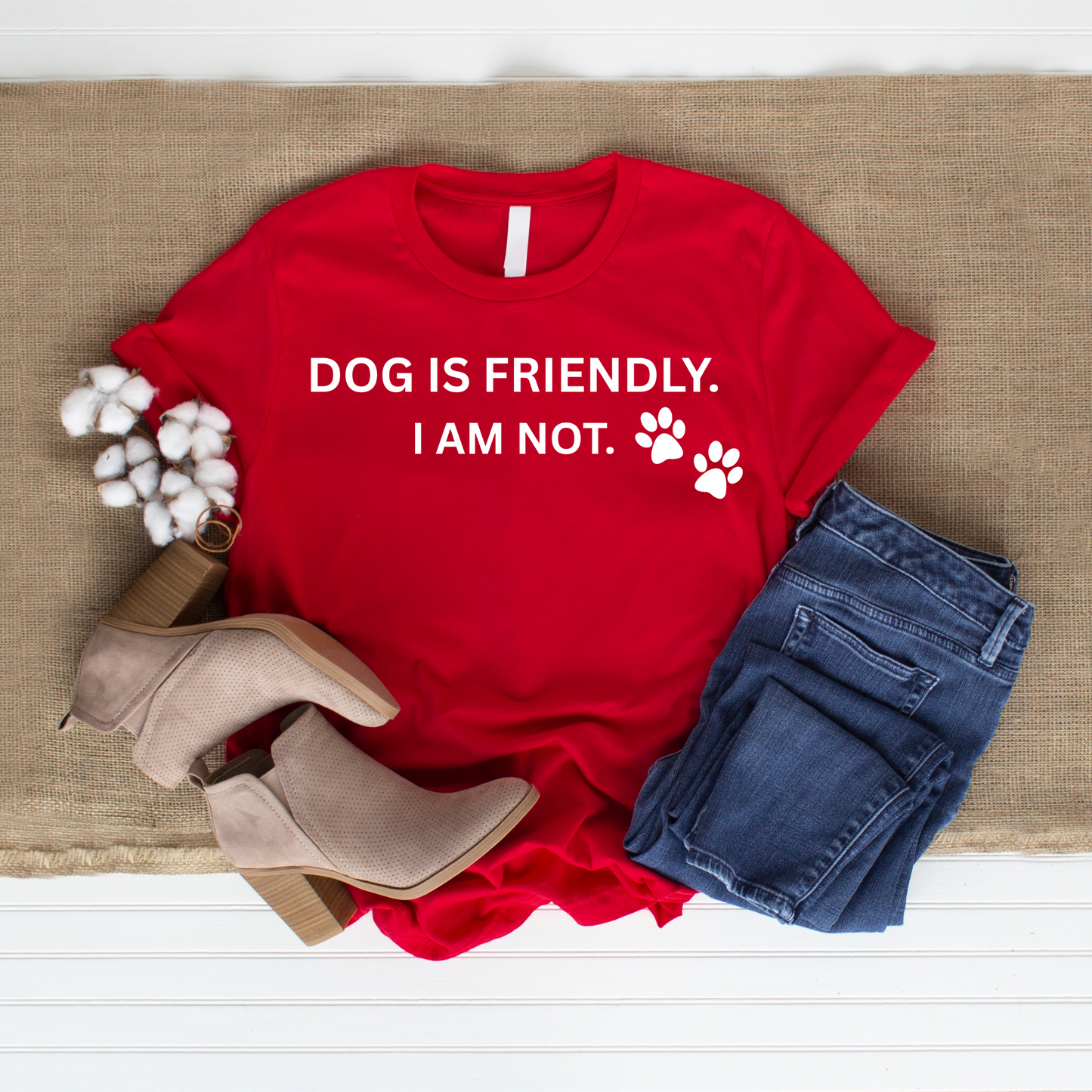 Dog Is Friendly I Am Not