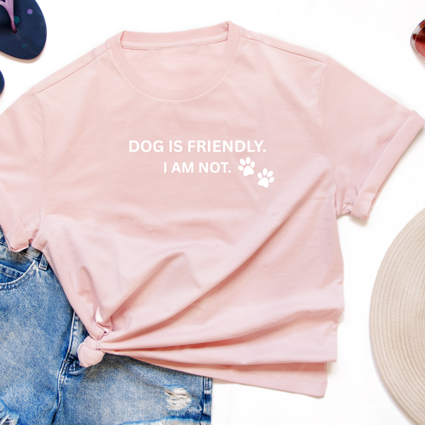 Dog Is Friendly I Am Not